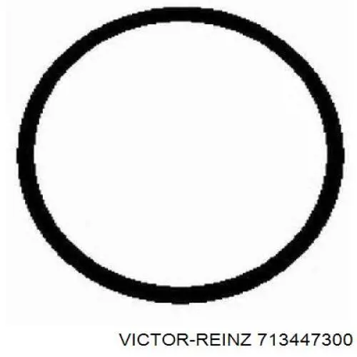 713447300 Victor Reinz прокладка впускного колектора