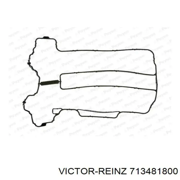 Купити 713481800 Victor Reinz Прокладка клапанної кришки