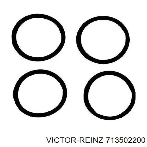 Купити 713502200 Victor Reinz Прокладка колектора