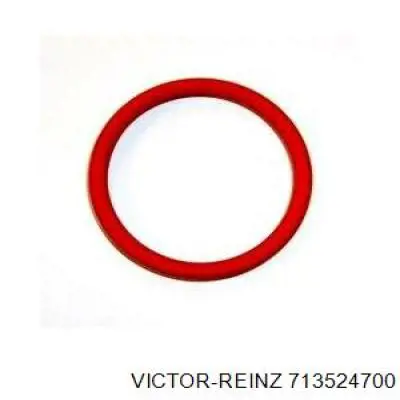 Купити 713524700 Victor Reinz Прокладка впускного колектора