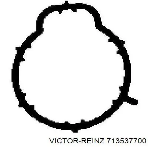 713537700 Victor Reinz прокладка впускного колектора