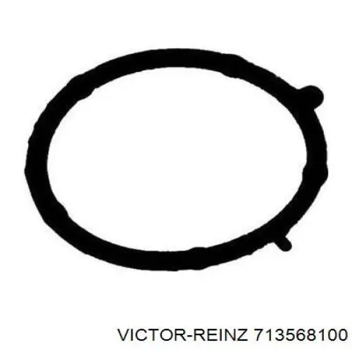 713568100 Victor Reinz прокладка впускного колектора, верхня