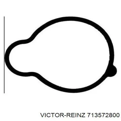 Прокладка впускного колектора Victor Reinz 713572800 ціна, від 2.95 USD