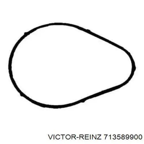 713589900 Victor Reinz прокладка впускного колектора
