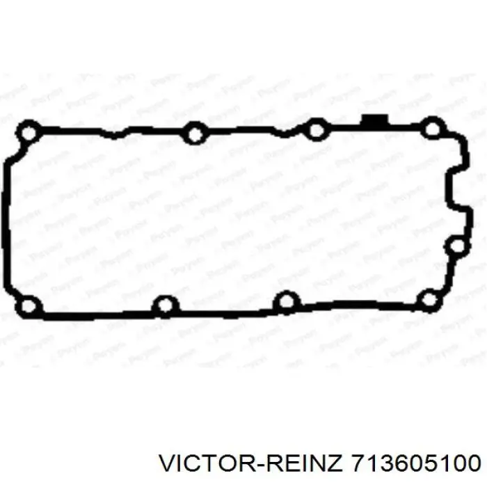 713605100 Victor Reinz прокладка клапанної кришки, ліва