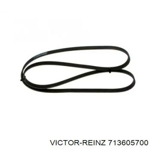 Прокладка впускного колектора Victor Reinz 713605700 ціна, від 32.97 USD