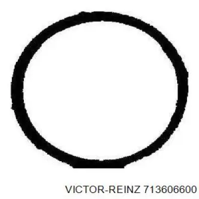 Купити 713606600 Victor Reinz Прокладка впускного колектора