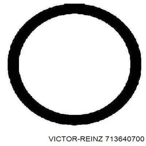713640700 Victor Reinz прокладка впускного колектора