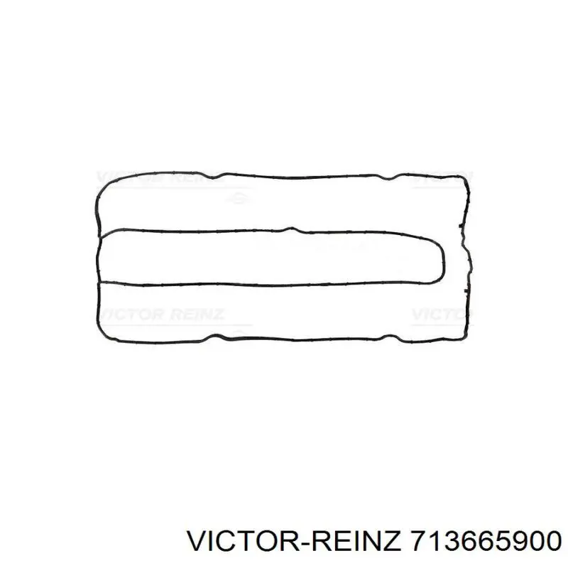 713665900 Victor Reinz прокладка клапанної кришки двигуна