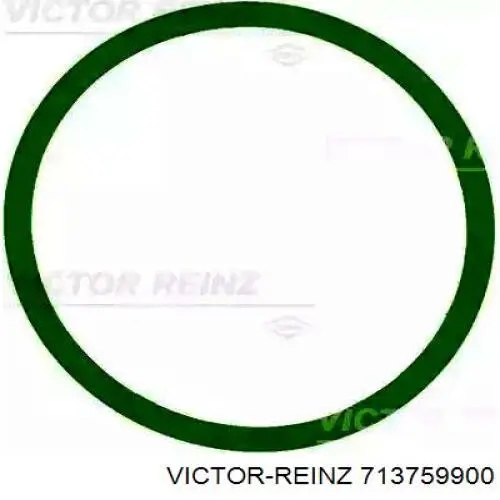 713759900 Victor Reinz прокладка впускного колектора