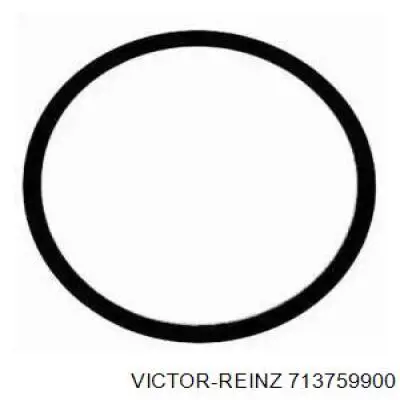 Прокладка впускного колектора Victor Reinz 713759900 ціна, від 2.86 USD