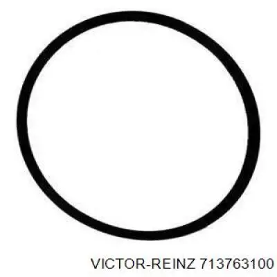 713763100 Victor Reinz Прокладка дросельної заслінки