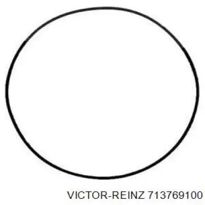 Купити 713769100 Victor Reinz Прокладка клапанної кришки