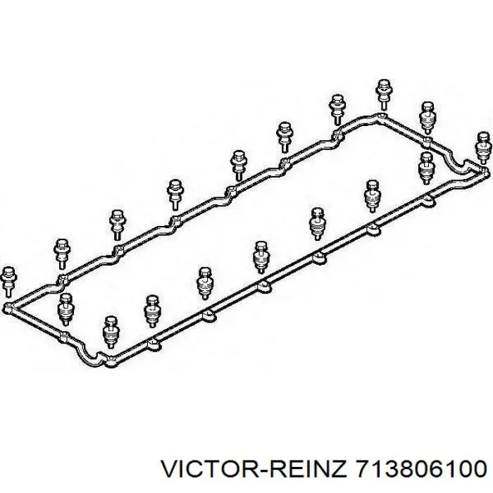 Прокладка клапанної кришки двигуна 713806100 Victor Reinz