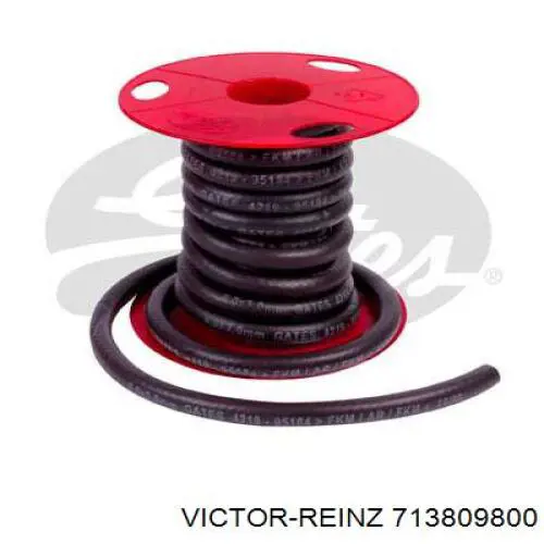 Прокладка впускного колектора, нижня Victor Reinz 713809800 ціна, від 23.06 USD