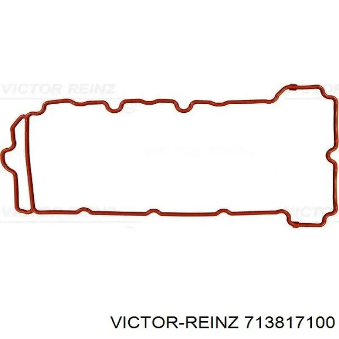 713817100 Victor Reinz прокладка клапанної кришки, права