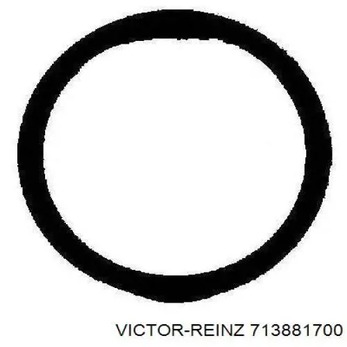 713881700 Victor Reinz прокладка впускного колектора