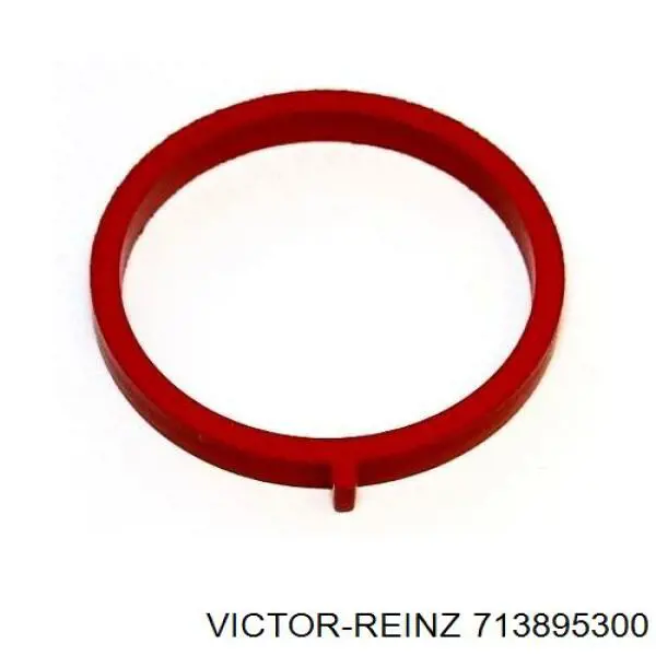 713895300 Victor Reinz Прокладка впускного колектора