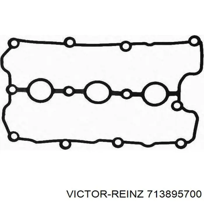713895700 Victor Reinz Прокладка клапанної кришки двигуна, права