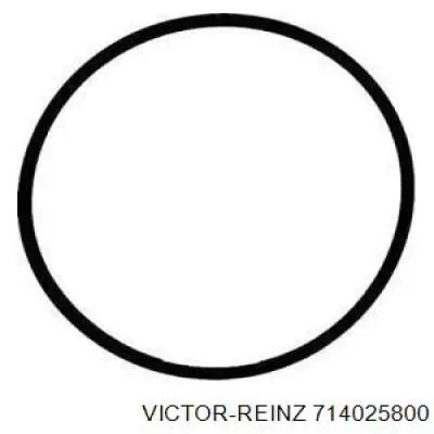 Прокладка впускного колектора 714025800 Victor Reinz