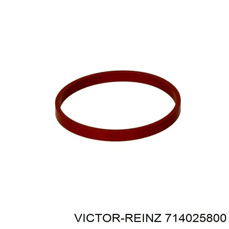 Прокладка впускного колектора Victor Reinz 714025800 ціна, від 3.41 USD