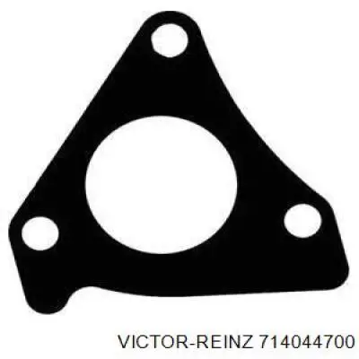 714044700 Victor Reinz Прокладка штанів