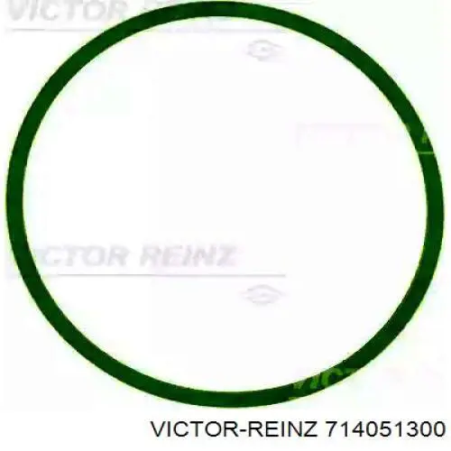 Купити 714051300 Victor Reinz Прокладка впускного колектора