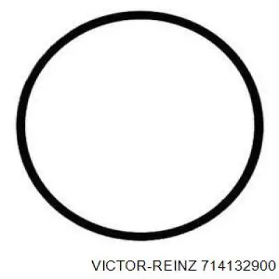 714132900 Victor Reinz прокладка турбіни вихлопних газів, впуск
