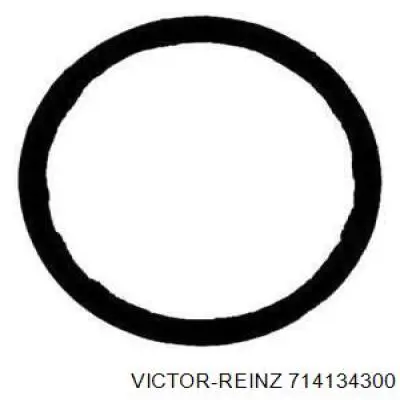 714134300 Victor Reinz Прокладка штанів
