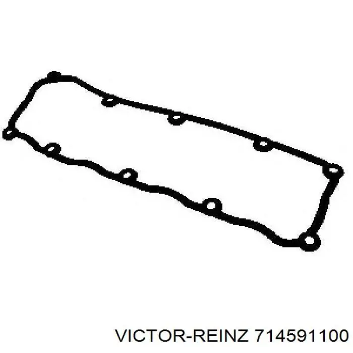 714591100 Victor Reinz 