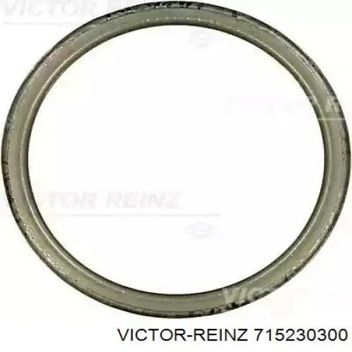 Купити 715230300 Victor Reinz 