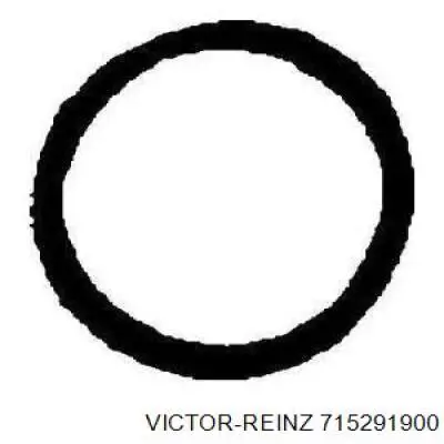 Прокладка прийомної труби глушника Victor Reinz 715291900 ціна, від 1.40 USD