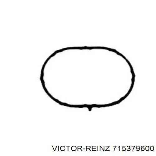 715379600 Victor Reinz Прокладка впускного колектора