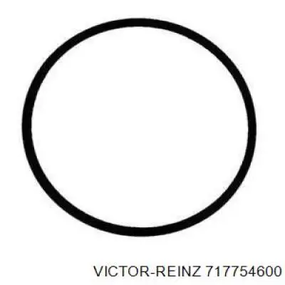 Прокладка впускного колектора Victor Reinz 717754600 ціна, від 2.11 USD