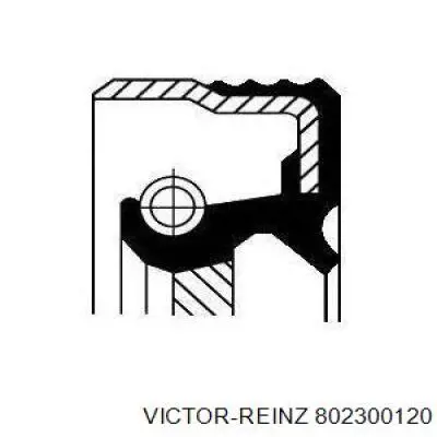 Купити 802300120 Victor Reinz Сальник колінвала задній