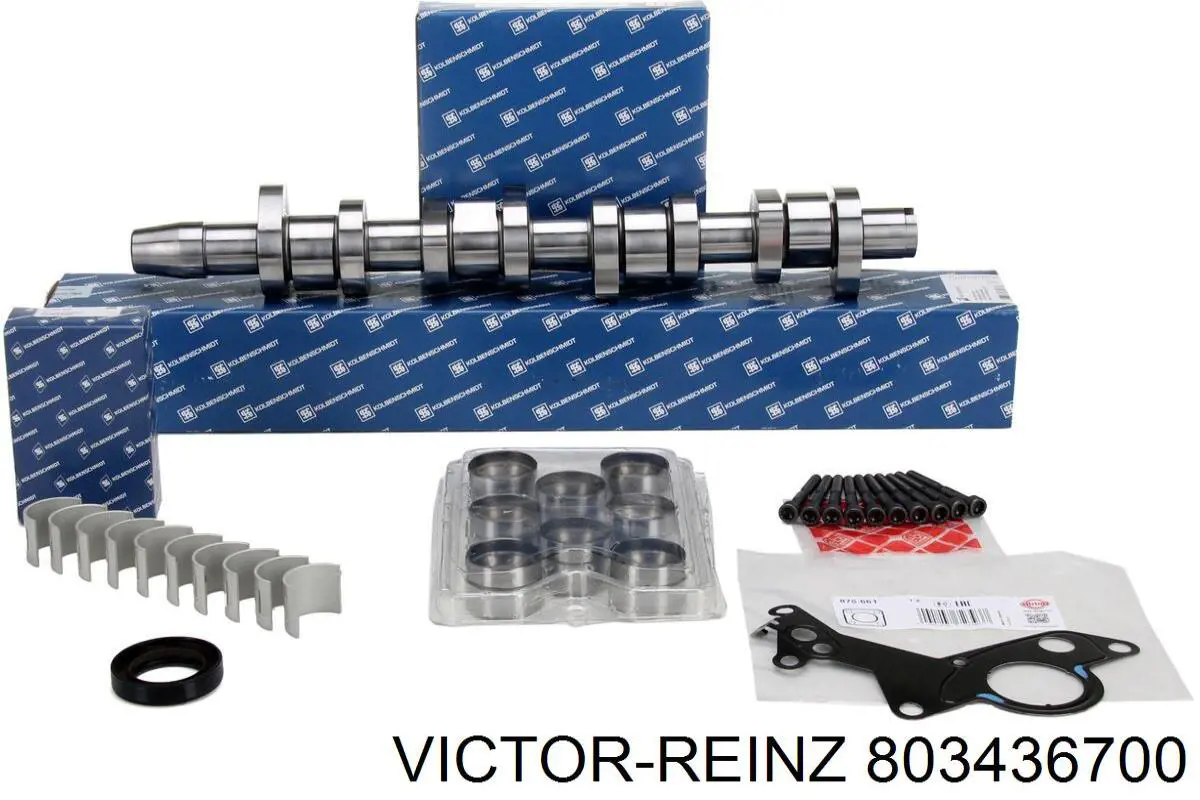 Сальник двигуна, распредвала Victor Reinz 803436700 ціна, від 6.94 USD