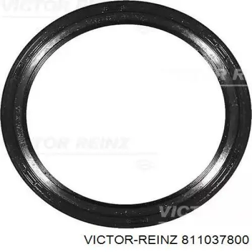 Сальник коленвала двигуна, передній Victor Reinz 811037800 ціна, від 13.30 USD