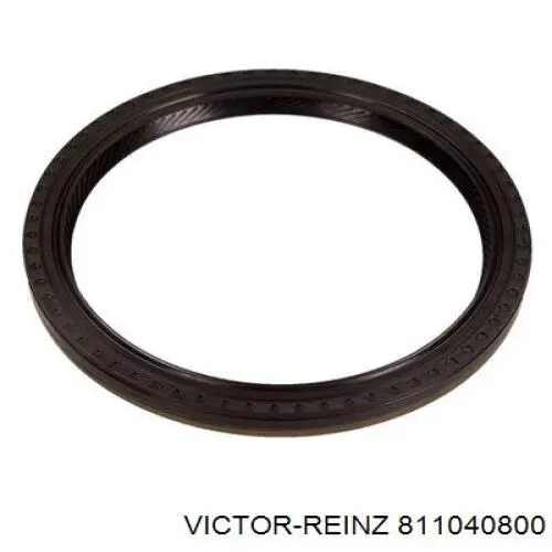  811040800 Victor Reinz