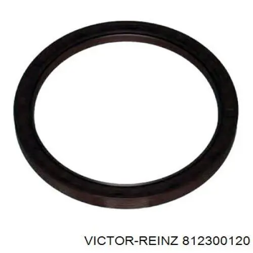 Купити 812300120 Victor Reinz Сальник колінвала задній