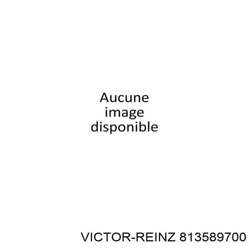 Купити 813589700 Victor Reinz Сальник колінвала задній