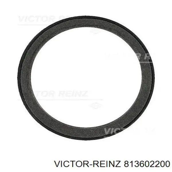 Купити 813602200 Victor Reinz Сальник коленвала передній