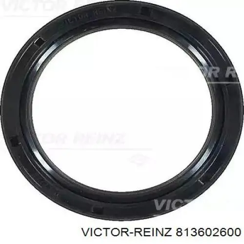 Купити 813602600 Victor Reinz Сальник коленвала передній