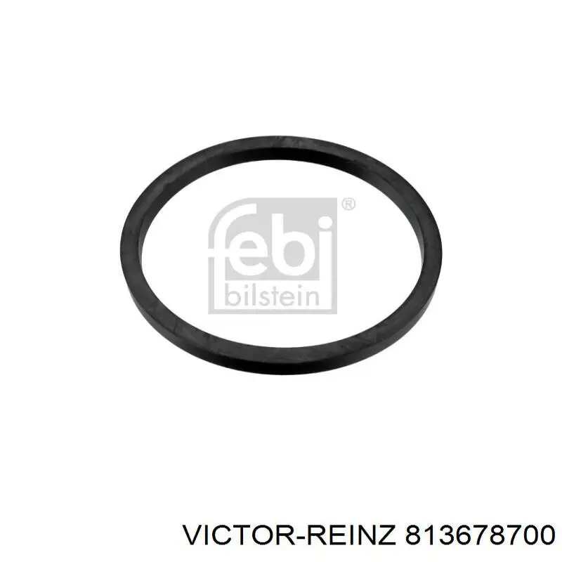Сальник коленвалу 813678700 Victor Reinz