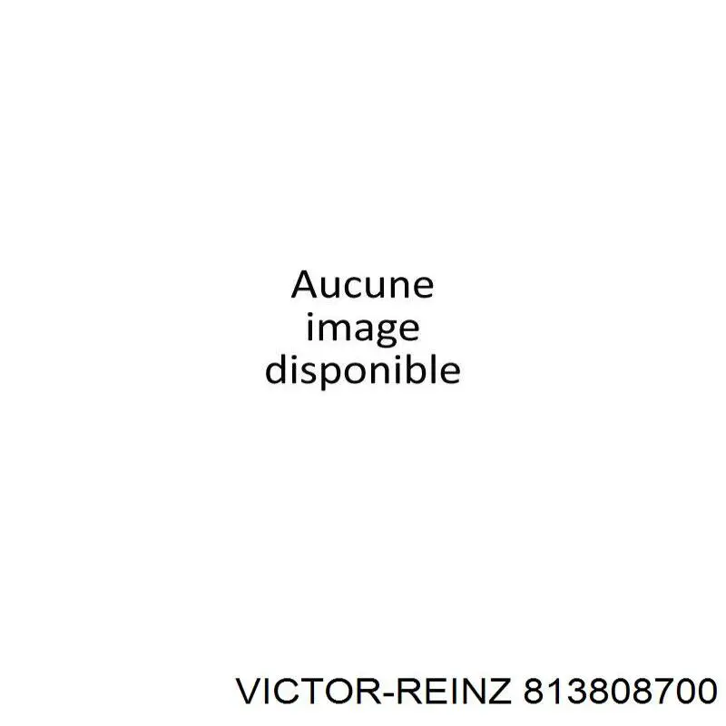 Сальник колінвала двигуна, задній Victor Reinz 813808700 ціна, від 24.89 USD