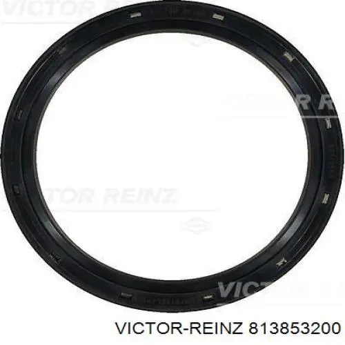 Сальник колінвала двигуна, задній Ford 2190322 ціна, від 19.23 USD