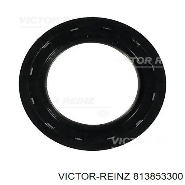 813853300 Victor Reinz Сальник колінчастого валу