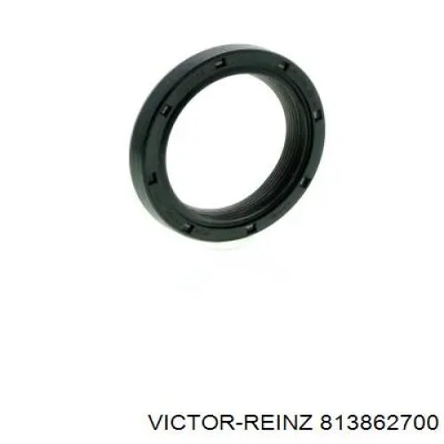 Сальник распредвала двигуна Renault Laguna III