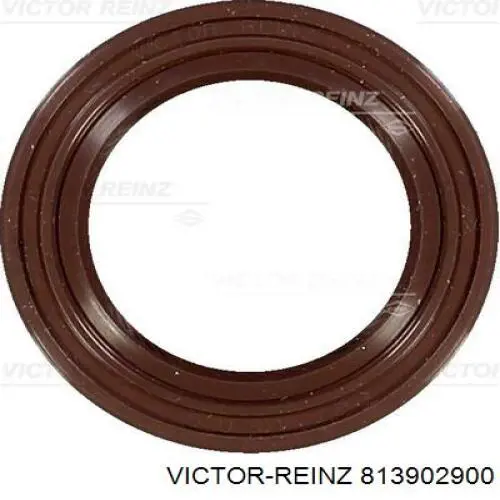 Ланцюг Victor Reinz 813902900 ціна, від 6.08 USD
