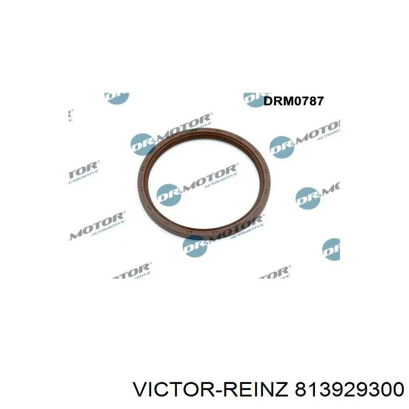Купити 813929300 Victor Reinz Сальник колінвала задній