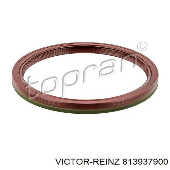 Купити 813937900 Victor Reinz Сальник колінвала задній